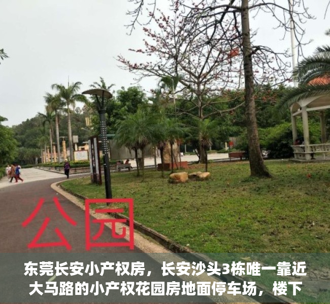 东莞长安小产权房，长安沙头3栋唯一靠近大马路的小产权花园房地面停车场，楼下人工湖公园《滨湖花园》新盘热销，惊爆价4100平起