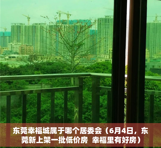 东莞幸福城属于哪个居委会（6月4日，东莞新上架一批低价房  幸福里有好房）