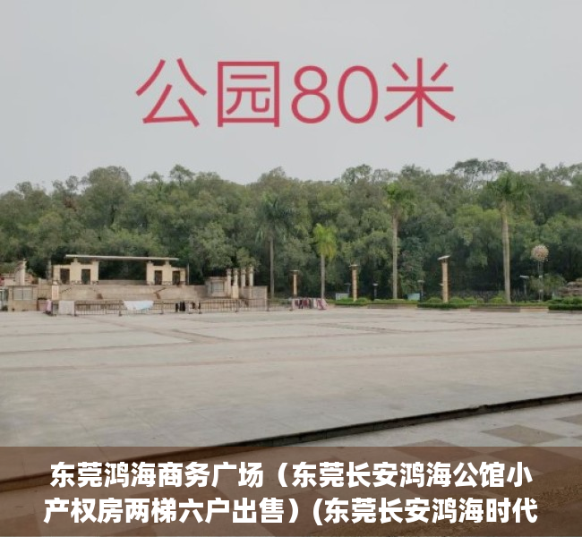 东莞鸿海商务广场（东莞长安鸿海公馆小产权房两梯六户出售）(东莞长安鸿海时代广场)