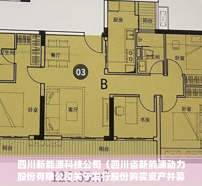 四川新能源科技公司（四川省新能源动力股份有限公司关于发行股份购买资产并募集配套资金暨关联交易申请获得深圳证券交易所受理的公告）