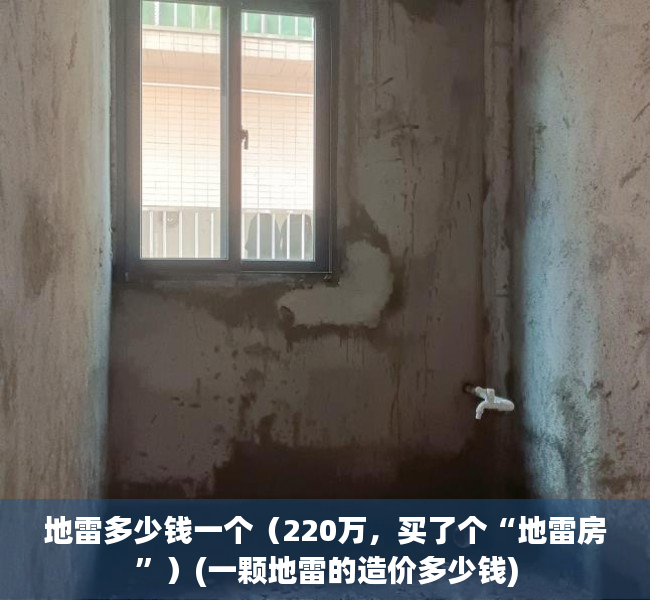 地雷多少钱一个（220万，买了个“地雷房”）(一颗地雷的造价多少钱)