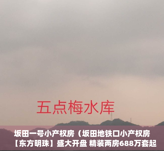 坂田一号小产权房（坂田地铁口小产权房【东方明珠】盛大开盘 精装两房688万套起）
