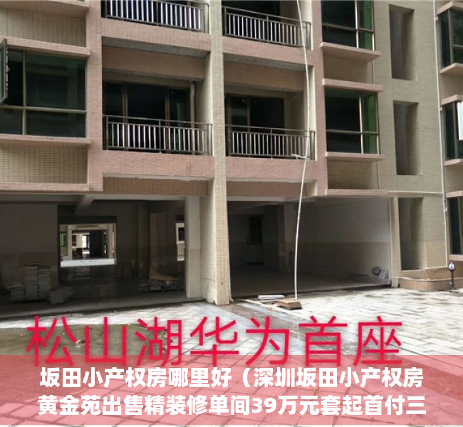 坂田小产权房哪里好（深圳坂田小产权房黄金苑出售精装修单间39万元套起首付三成）