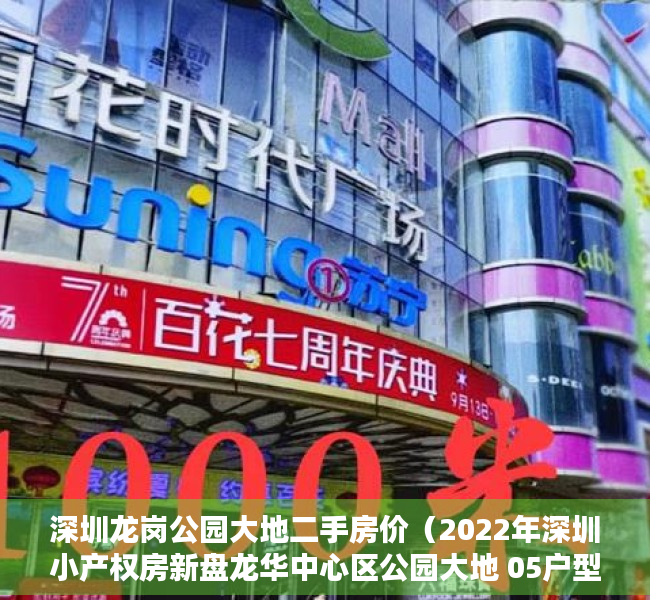 深圳龙岗公园大地二手房价（2022年深圳小产权房新盘龙华中心区公园大地 05户型）