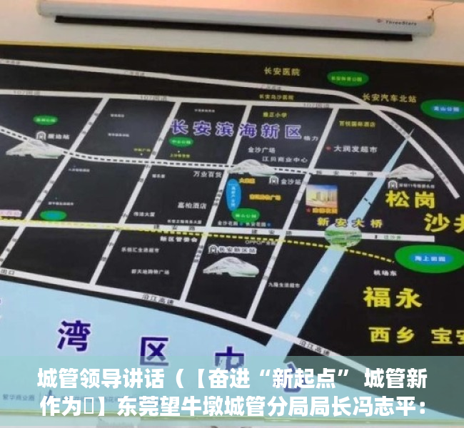 城管领导讲话（【奋进“新起点” 城管新作为㉝】东莞望牛墩城管分局局长冯志平：构建高效治理新格局，为高质量发展提供空间保障）