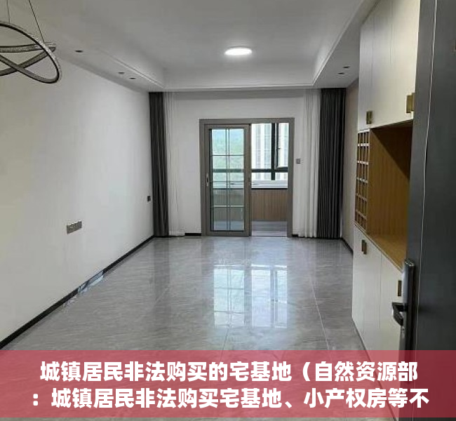城镇居民非法购买的宅基地（自然资源部：城镇居民非法购买宅基地、小产权房等不予办理登记）