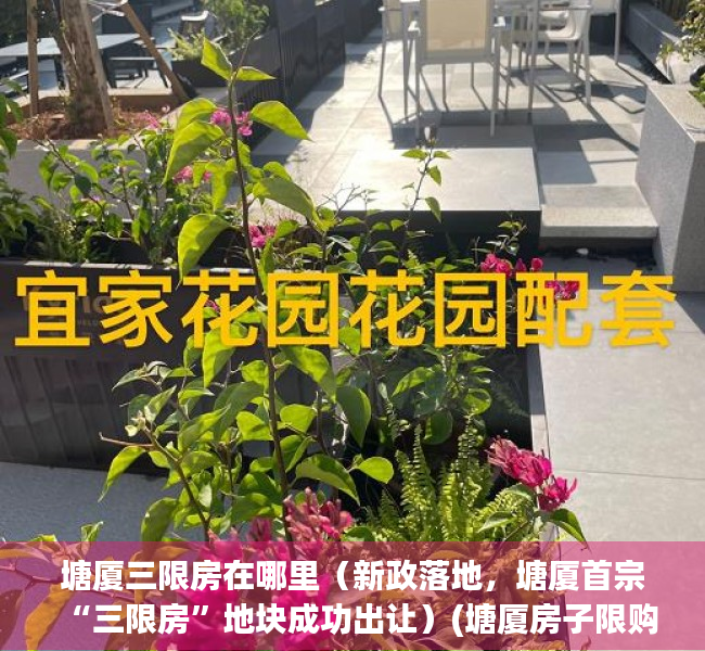 塘厦三限房在哪里（新政落地，塘厦首宗“三限房”地块成功出让）(塘厦房子限购吗)