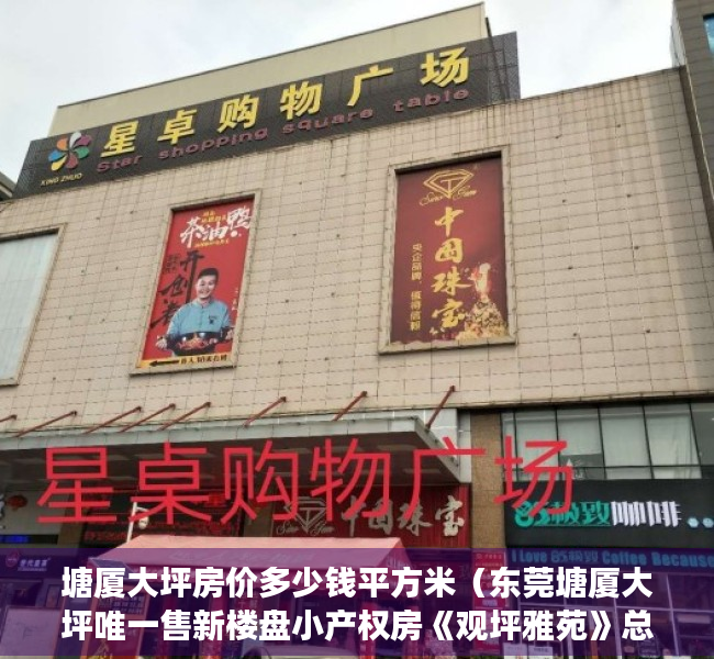 塘厦大坪房价多少钱平方米（东莞塘厦大坪唯一售新楼盘小产权房《观坪雅苑》总价45万起 首付3成森林公园旁 湖景房 户型方正采光好）