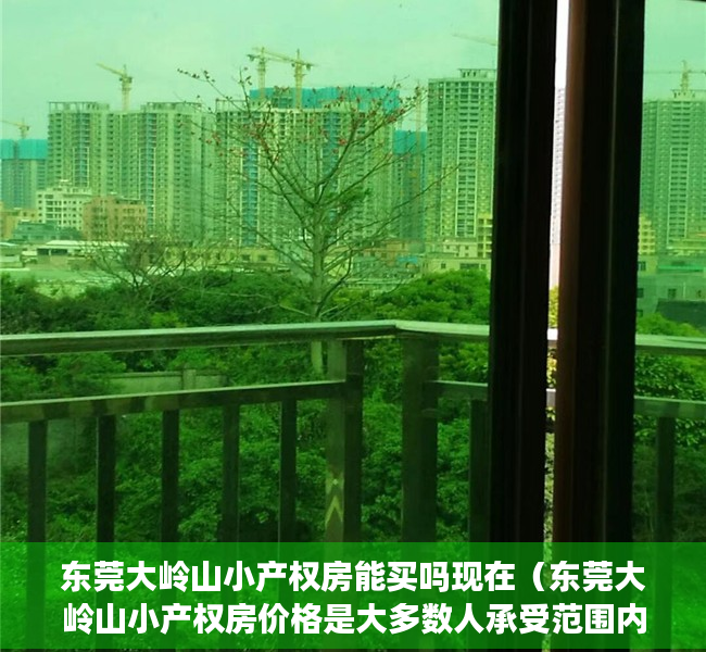 东莞大岭山小产权房能买吗现在（东莞大岭山小产权房价格是大多数人承受范围内的）