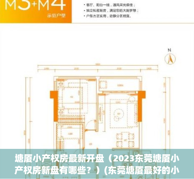 塘厦小产权房最新开盘（2023东莞塘厦小产权房新盘有哪些？）(东莞塘厦最好的小产权房)