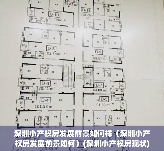 深圳小产权房发展前景如何样（深圳小产权房发展前景如何）(深圳小产权房现状)