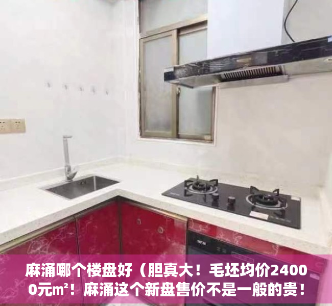 麻涌哪个楼盘好（胆真大！毛坯均价24000元㎡！麻涌这个新盘售价不是一般的贵！）