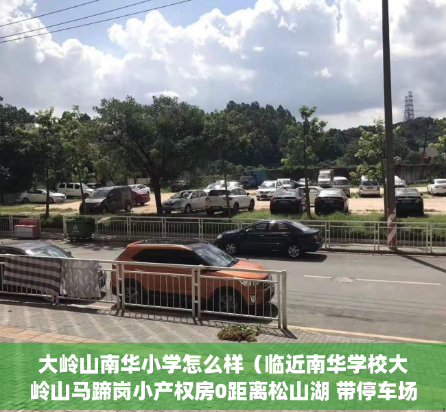 大岭山南华小学怎么样（临近南华学校大岭山马蹄岗小产权房0距离松山湖 带停车场 首付8万起）