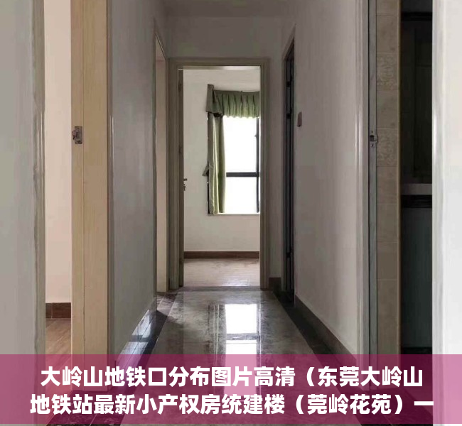 大岭山地铁口分布图片高清（东莞大岭山地铁站最新小产权房统建楼（莞岭花苑）一口价3980元㎡ ，大路第一排地铁1号线《大岭山站》300米）