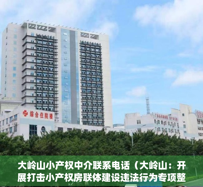 大岭山小产权中介联系电话（大岭山：开展打击小产权房联体建设违法行为专项整治）