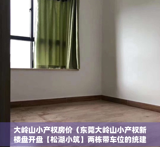 大岭山小产权房价（东莞大岭山小产权新楼盘开盘【松湖小筑】两栋带车位的统建楼，特价三房338万！东莞小产权房能不能买？小产权房可以买吗？村委集资房）