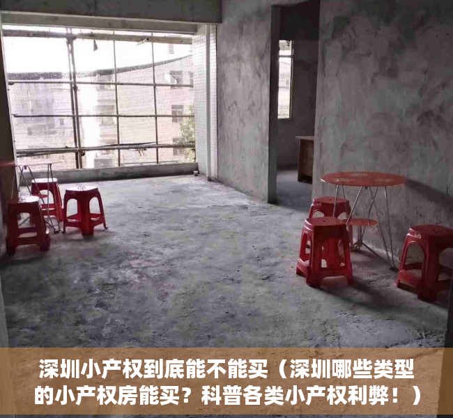 深圳小产权到底能不能买（深圳哪些类型的小产权房能买？科普各类小产权利弊！）