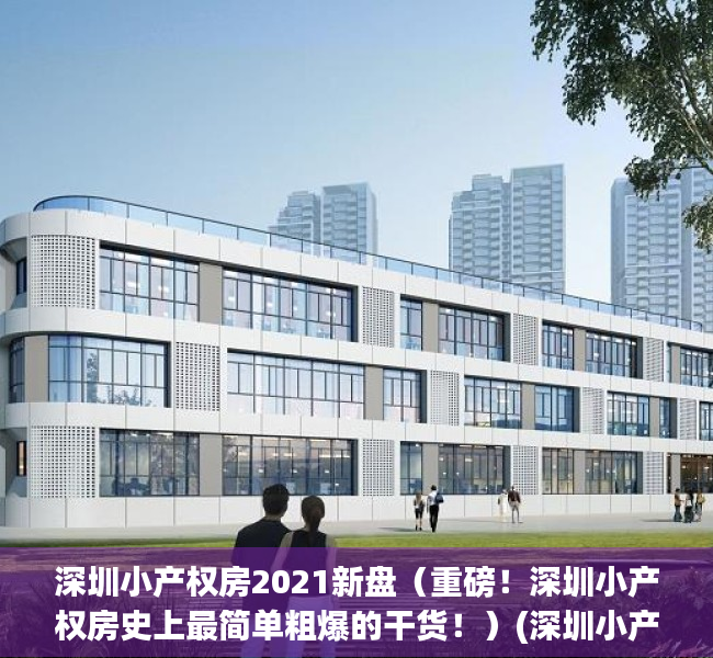 深圳小产权房2021新盘（重磅！深圳小产权房史上最简单粗爆的干货！）(深圳小产权房房价多少)