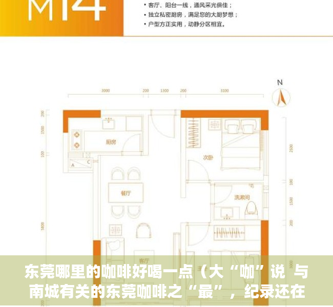 东莞哪里的咖啡好喝一点（大“咖”说  与南城有关的东莞咖啡之“最”，纪录还在刷新）