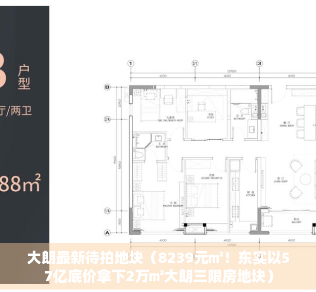 大朗最新待拍地块（8239元㎡！东实以57亿底价拿下2万㎡大朗三限房地块）