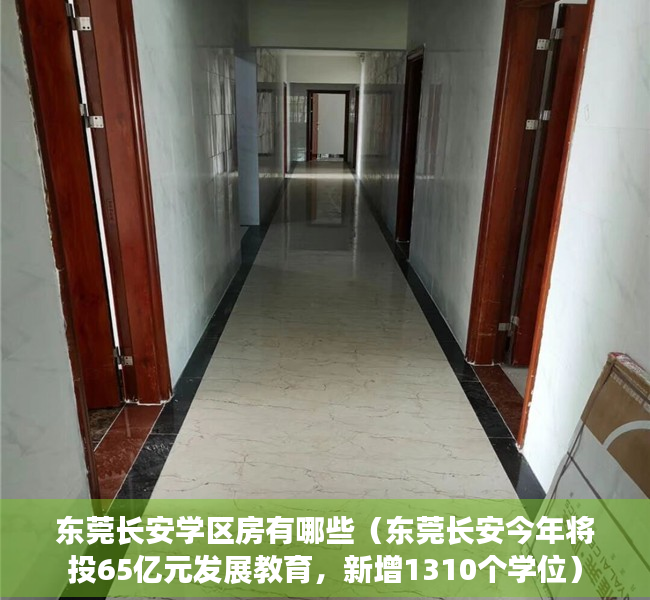 东莞长安学区房有哪些（东莞长安今年将投65亿元发展教育，新增1310个学位）