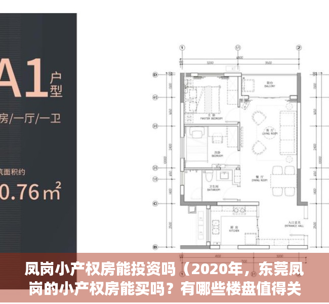 凤岗小产权房能投资吗（2020年，东莞凤岗的小产权房能买吗？有哪些楼盘值得关注？）