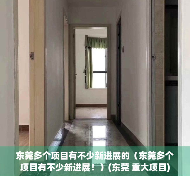 东莞多个项目有不少新进展的（东莞多个项目有不少新进展！）(东莞 重大项目)