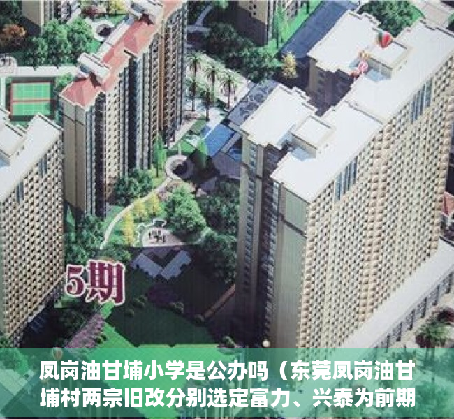 凤岗油甘埔小学是公办吗（东莞凤岗油甘埔村两宗旧改分别选定富力、兴泰为前期服务商）