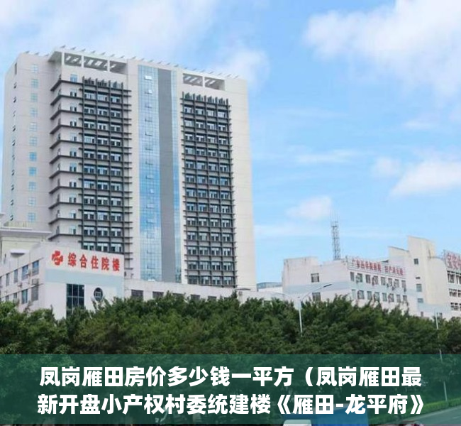 凤岗雁田房价多少钱一平方（凤岗雁田最新开盘小产权村委统建楼《雁田-龙平府》距离深圳平湖一路之隔《雁田-龙平府》凤岗汽车站200米  《雁田-龙平府》）