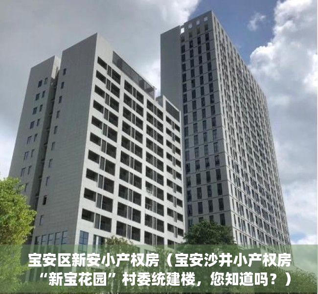 宝安区新安小产权房（宝安沙井小产权房“新宝花园”村委统建楼，您知道吗？）