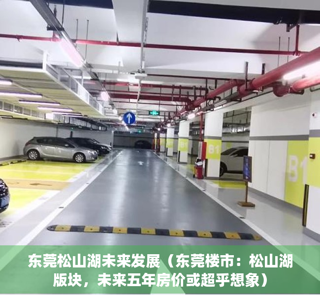 东莞松山湖未来发展（东莞楼市：松山湖版块，未来五年房价或超乎想象）