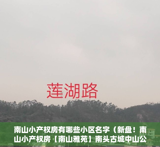 南山小产权房有哪些小区名字（新盘！南山小产权房【南山雅苑】南头古城中山公园0距离、12号线中山公园站步行500）