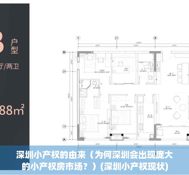 深圳小产权的由来（为何深圳会出现庞大的小产权房市场？）(深圳小产权现状)