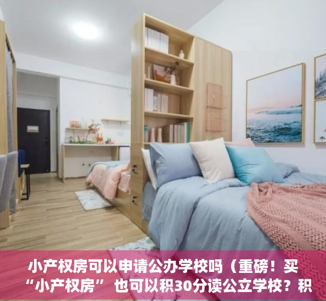 小产权房可以申请公办学校吗（重磅！买“小产权房” 也可以积30分读公立学校？积分细则全解，看完受益请分享！）