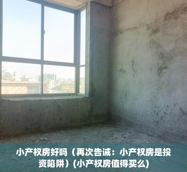 小产权房好吗（再次告诫：小产权房是投资陷阱）(小产权房值得买么)