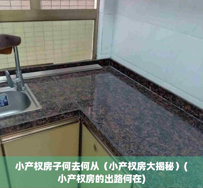 小产权房子何去何从（小产权房大揭秘）(小产权房的出路何在)