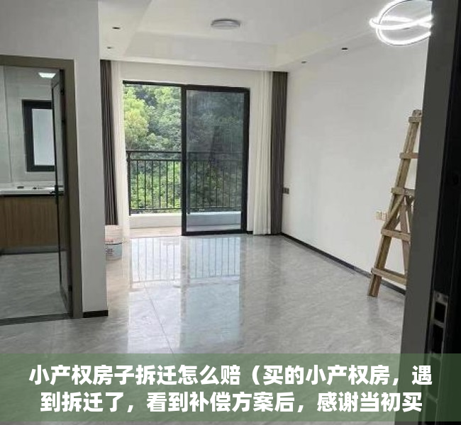 小产权房子拆迁怎么赔（买的小产权房，遇到拆迁了，看到补偿方案后，感谢当初买房的决定）