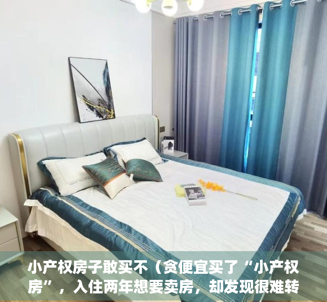 小产权房子敢买不（贪便宜买了“小产权房”，入住两年想要卖房，却发现很难转手）