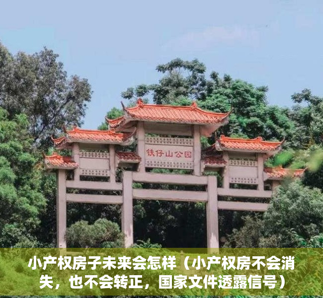 小产权房子未来会怎样（小产权房不会消失，也不会转正，国家文件透露信号）