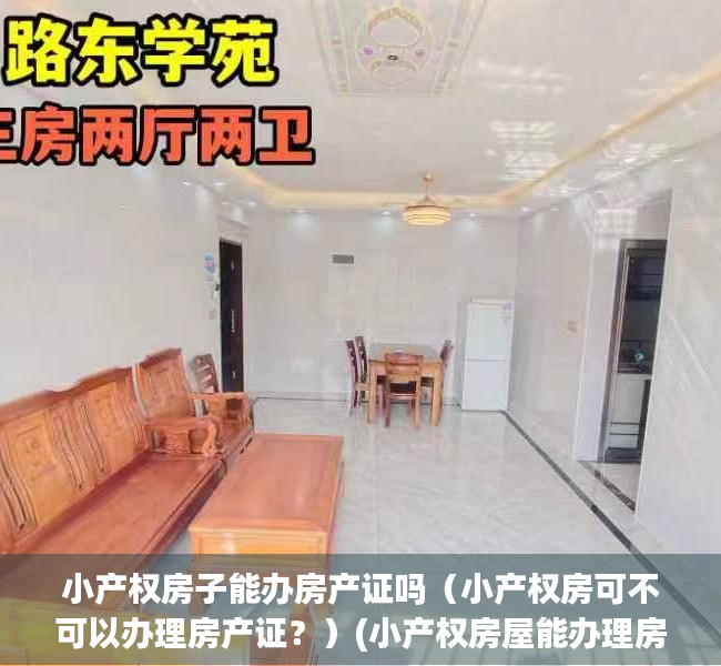 小产权房子能办房产证吗（小产权房可不可以办理房产证？）(小产权房屋能办理房产证吗)