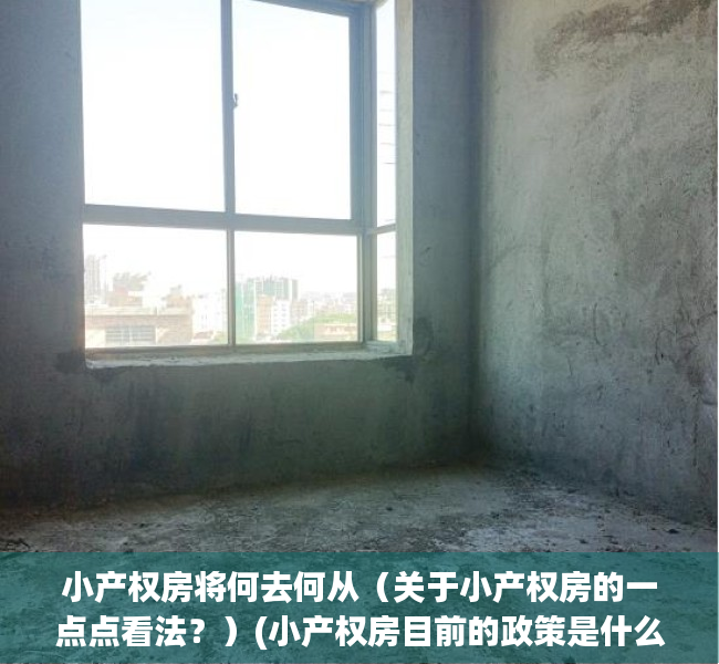 小产权房将何去何从（关于小产权房的一点点看法？）(小产权房目前的政策是什么样子的)