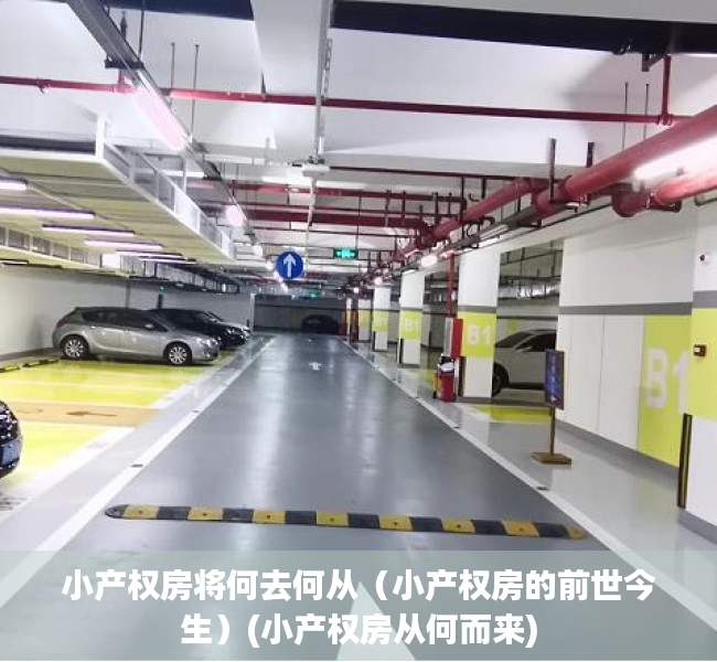 小产权房将何去何从（小产权房的前世今生）(小产权房从何而来)