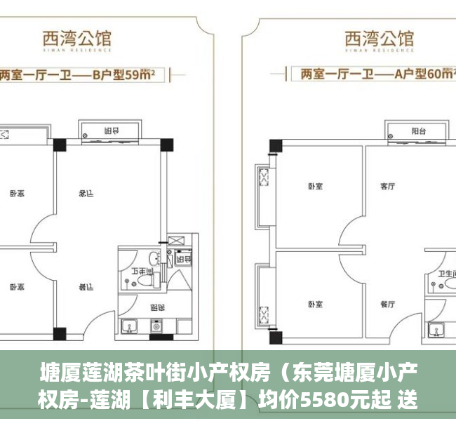 塘厦莲湖茶叶街小产权房（东莞塘厦小产权房-莲湖【利丰大厦】均价5580元起 送装修 分期免息）