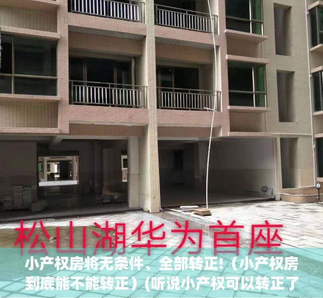 小产权房将无条件、全部转正!（小产权房到底能不能转正）(听说小产权可以转正了,是真的吗)