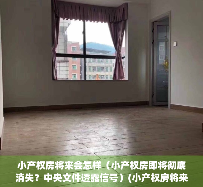 小产权房将来会怎样（小产权房即将彻底消失？中央文件透露信号）(小产权房将来国家会有政策变化吗)