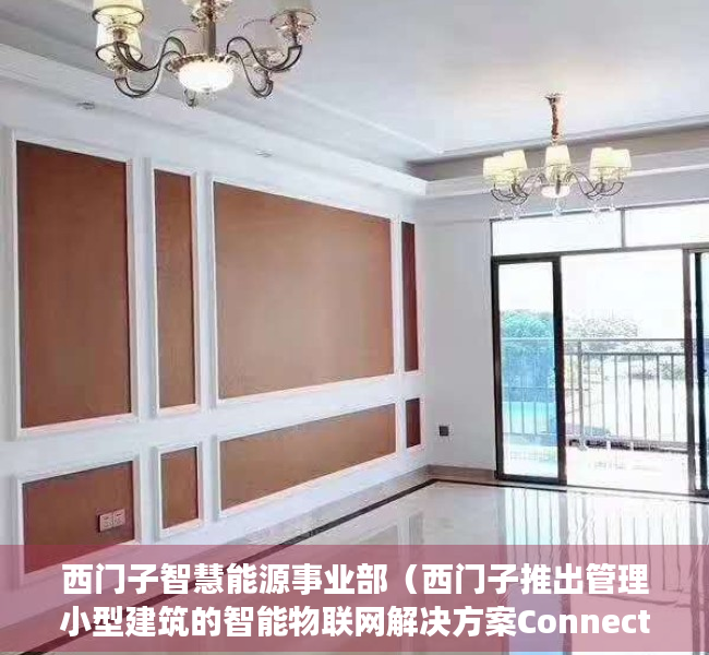 西门子智慧能源事业部（西门子推出管理小型建筑的智能物联网解决方案Connect Box）