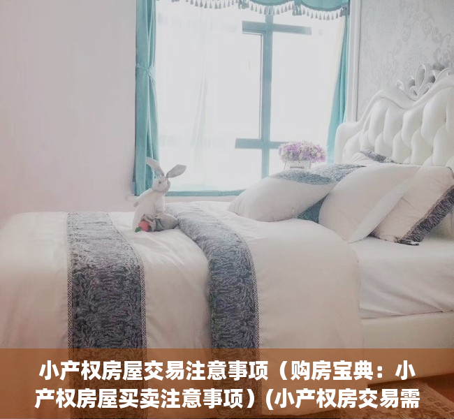 小产权房屋交易注意事项（购房宝典：小产权房屋买卖注意事项）(小产权房交易需要注意什么)