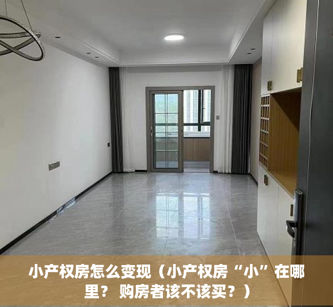 小产权房怎么变现（小产权房“小”在哪里？ 购房者该不该买？）