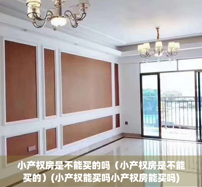 小产权房是不能买的吗（小产权房是不能买的）(小产权能买吗小产权房能买吗)