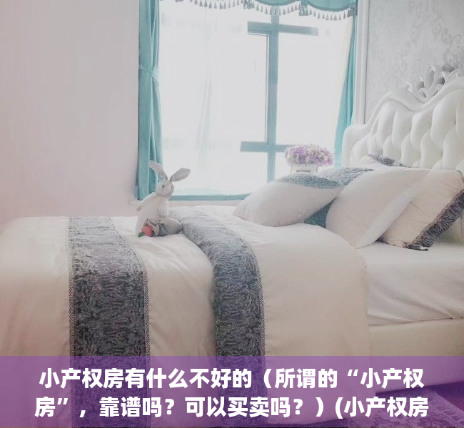 小产权房有什么不好的（所谓的“小产权房”，靠谱吗？可以买卖吗？）(小产权房值得买吗,要注意哪些问题)